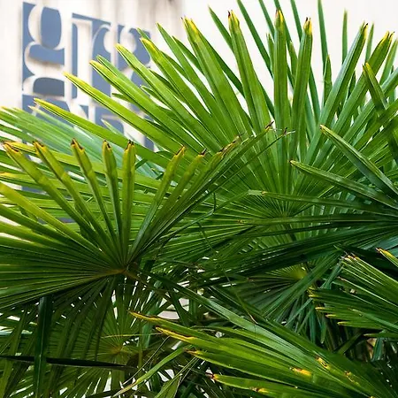 格兰21居住酒店 公寓式酒店 罗马