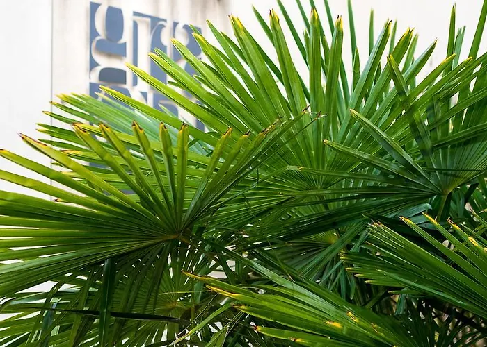 格兰21居住酒店 公寓式酒店 罗马